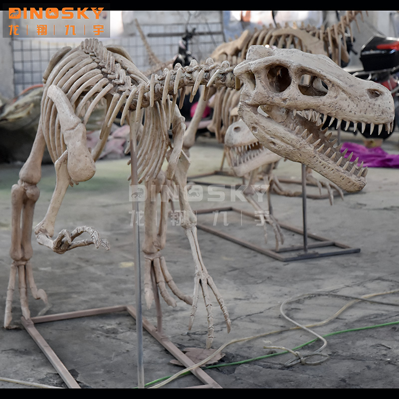 ATV&UTVResin Raptor Skelet Fos - Science Exhibition Models recensie en prijs